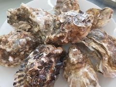 -渔民船说·北塘海鲜·天津菜·海肠捞饭(北塘古镇店)