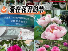 -曹州牡丹园