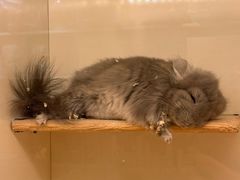 -龙猫仔乐园(惠福东路店)