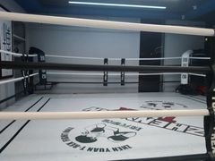 -臻元搏击格斗泰拳拳馆(港隆店)
