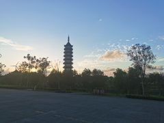 -奉贤海滩