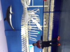 -福州罗源湾海洋世界旅游区