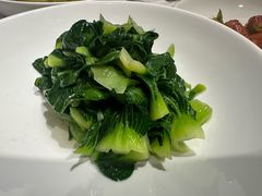 -席家花园(巨鹿花园店)