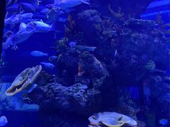 -成都浩海立方海洋公园