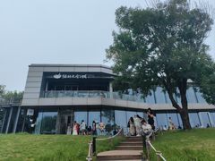 -猫的天空之城概念书店(北戴河蔚蓝海岸店)