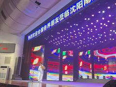 -南风大剧院莎梦二人转剧场