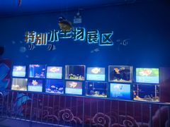 -厦门海底世界