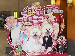 -上海神旺大酒店