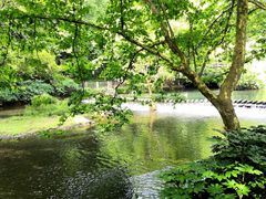 -阿哈湖国家湿地公园