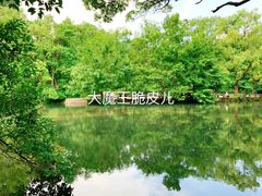 景点-阿哈湖国家湿地公园