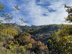 -鲁山国家森林公园