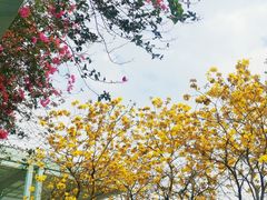 -文华公园(禅城区)