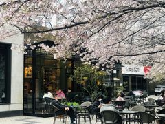 -玛格萝妮比萨屋(四平店)
