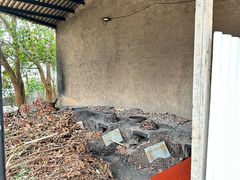 -陈岱后山窑鸡店