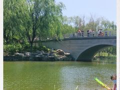 -大兴滨河森林公园