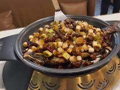 -锦尚阁烤鱼(望京新荟城店)