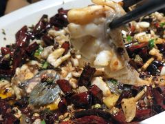 -三猫黑鱼花(南大店)
