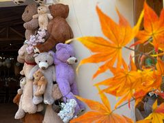 -HERRE·FARM 赫尔露营农场·团建聚会包场