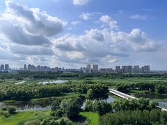 -哈尔滨大剧院