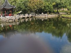 -和平公园