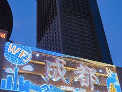 -王府井百货(总府店)