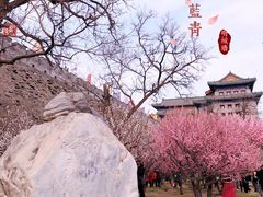 -北京明城墙遗址公园