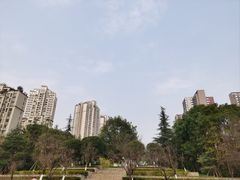 -龙头寺公园