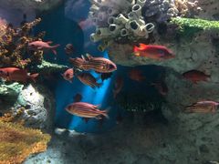 -福州罗源湾海洋世界旅游区