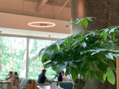 大堂-EN SPACE恩空间