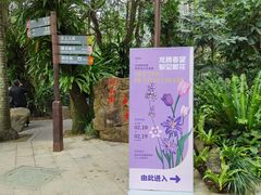 -深圳仙湖植物园