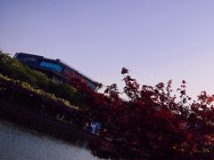 -嘉定紫藤园