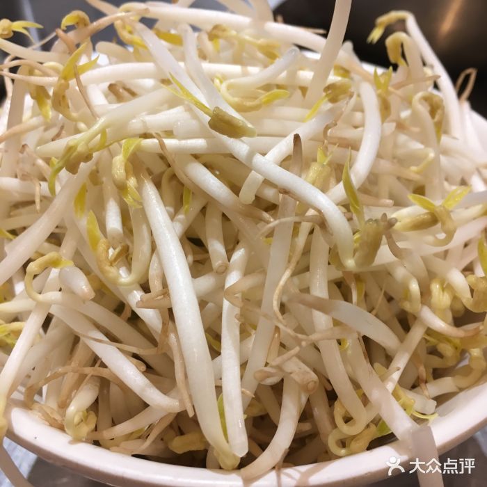 胡须佬鸡煲四季火锅店(马成时代广场店)豆芽图片 - 第2张