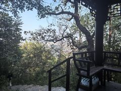 -杭州黄龙洞