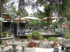 -蘇河湾·新鲁菜·泰山宴(泰山店)
