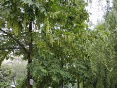 -沙河三洞古桥公园