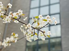 -山东大学(洪家楼校区)