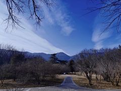 -国家植物园南园