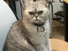 -Oasis绿洲银饰珍珠手作diy(壹方城店)