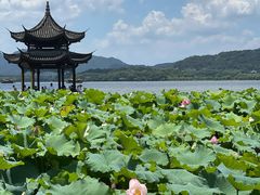 -西湖游船
