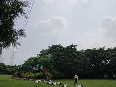 -广州长隆飞鸟乐园