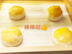 -花之城