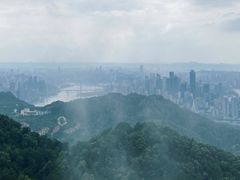 -大金鹰园