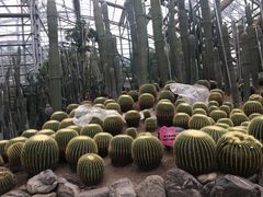 -南山植物园