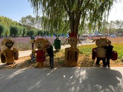 -北戴河集发农业梦想王国