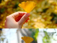 -太平天国历史博物馆(瞻园)