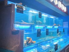 -鸽子侯·家宴·平价海鲜(市图书馆店)