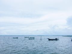 -东寨港红树林旅游区