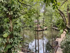 -广州兰圃