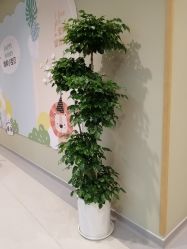 -瑞和（南京）月子会所