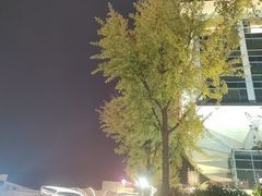 -泰安东尊华美达广场酒店(泰山景区店)